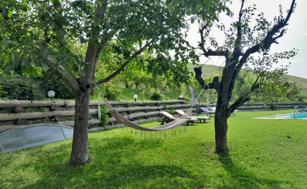 cascina-vendita-langhe (33)