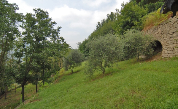 casa_vendita_cortemilia (46)