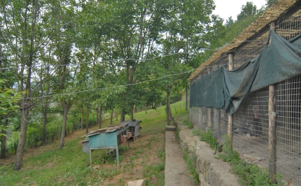 casa_vendita_cortemilia (62)