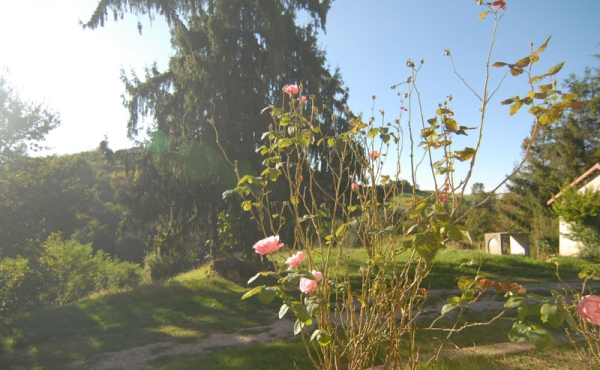 Casa con giardino vendita Monforte (24)