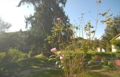 Casa con giardino vendita Monforte (24)
