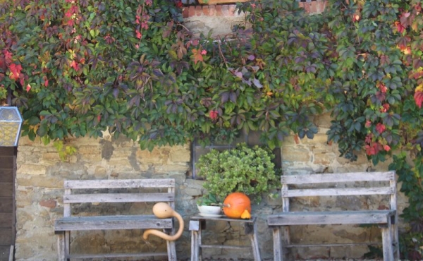 Cascina_vendita_langhe (101)