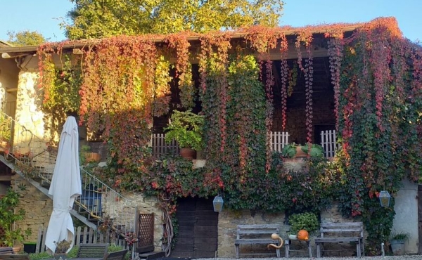 Cascina_vendita_langhe (3)