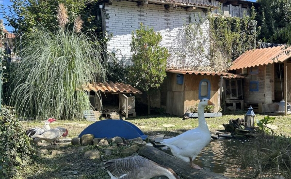 Cascina_vendita_langhe (91)