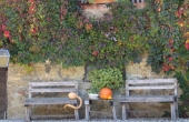 Cascina_vendita_langhe (101)