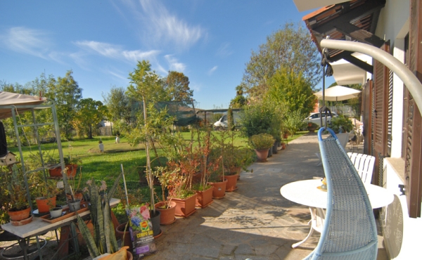 cascina-vendita-salmour (67)