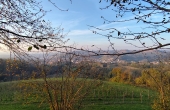 IMG_20241107_163056