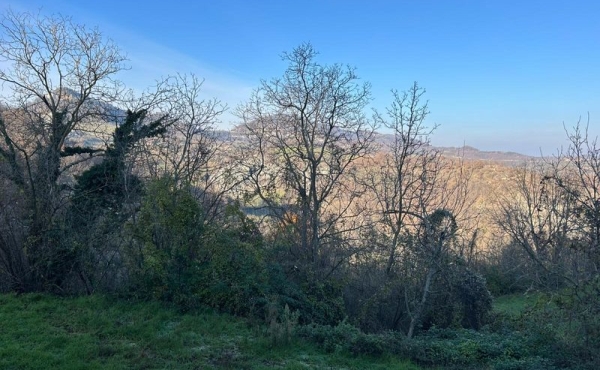 Rustico_vendita_acqui (13)