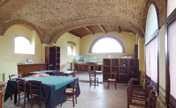 P1000254 - Copia