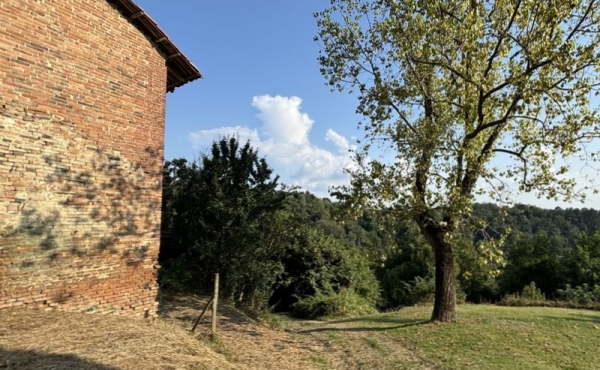 Rustico_vendita_sciolze (18)