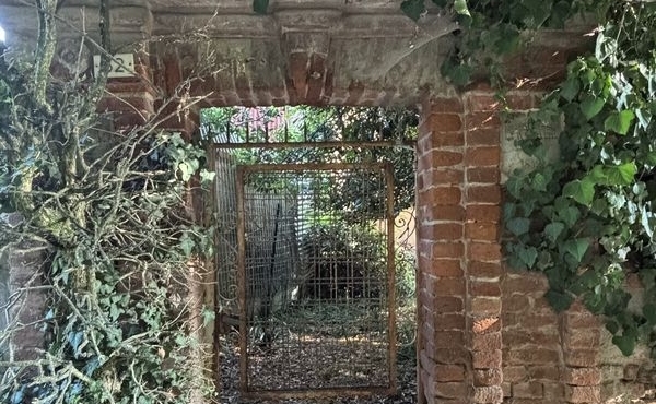 Rustico_vendita_sciolze (20)