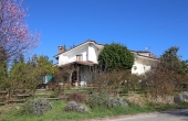 Ristorante_vendita_albaretto_torre (110)