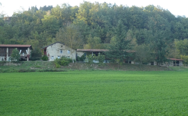 Casa vendita langhe (128)