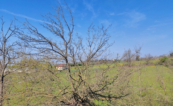 villa-vendita-alessandria (42)