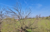 villa-vendita-alessandria (42)