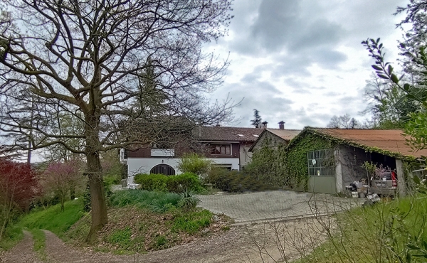 casa-vendita-monferrato (157)