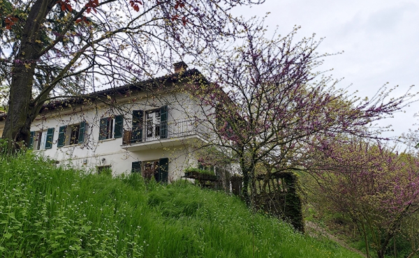 casa-vendita-monferrato (158)