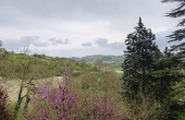 casa-vendita-monferrato (111)