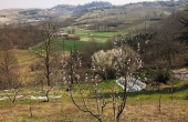 IMG_20220320_113210