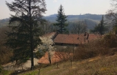 IMG_20220320_113220
