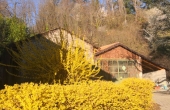 IMG_20230315_082903