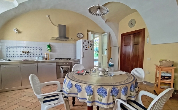 VILLA_VENDITA_VILLANOVA_MONDOVI (13)