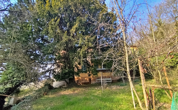 villa_vendita_langhe (117)