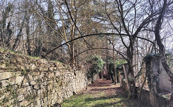 villa_vendita_langhe (25)