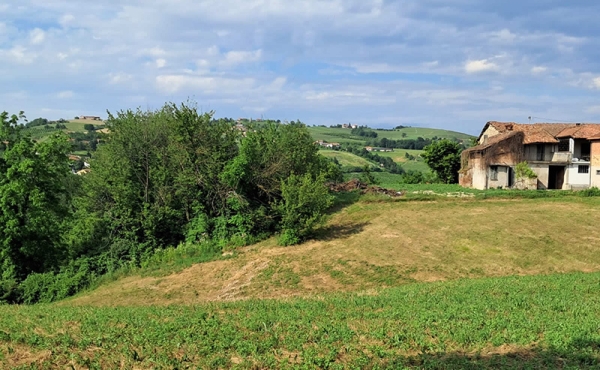 Rustico da ristrutturare con oltre 1 ha di terreno