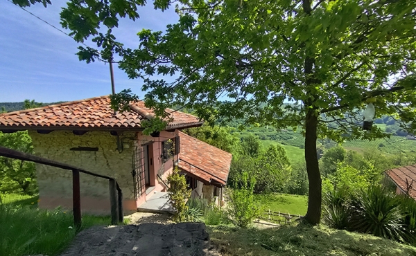casa_vendita_langhe (164)