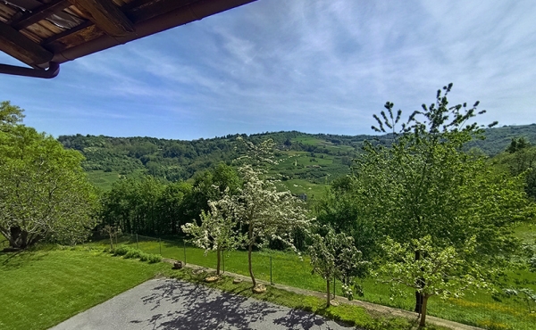 casa_vendita_langhe (182)