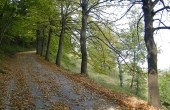 casa_vendita_langhe (94)