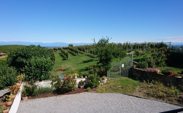 Casa_vendita_dogliani (4)