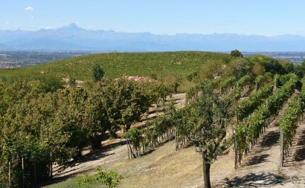 Casa_vendita_dogliani (53)