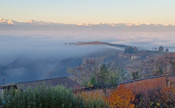Casa_vendita_dogliani (6)