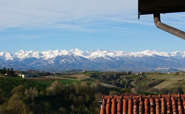 Casa_vendita_dogliani (60)