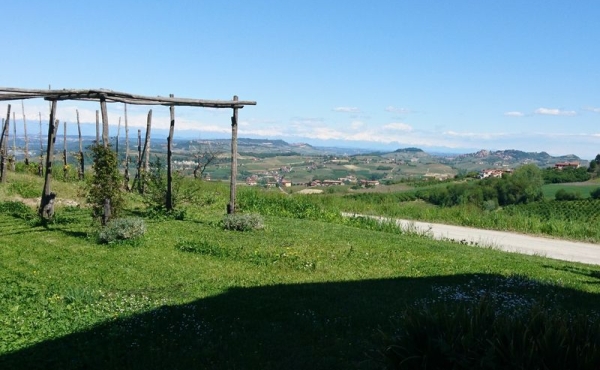Casa_vendita_dogliani (61)