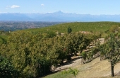 Casa_vendita_dogliani (54)