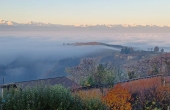 Casa_vendita_dogliani (6)