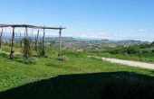 Casa_vendita_dogliani (61)