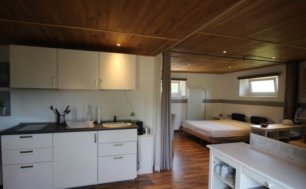 Villa indipendente con terreno (59)