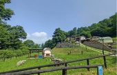 affittacamere-vendita-melle (116)