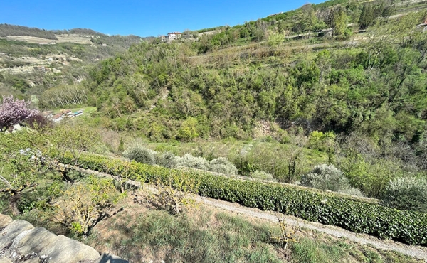 Immagine-WhatsApp-2024-07-02-ore-22.20.45_768ed2bd