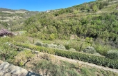 Immagine-WhatsApp-2024-07-02-ore-22.20.45_768ed2bd