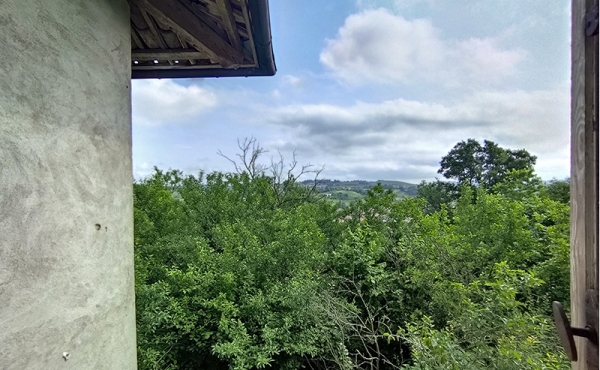cascina-vendita-dogliani (56)