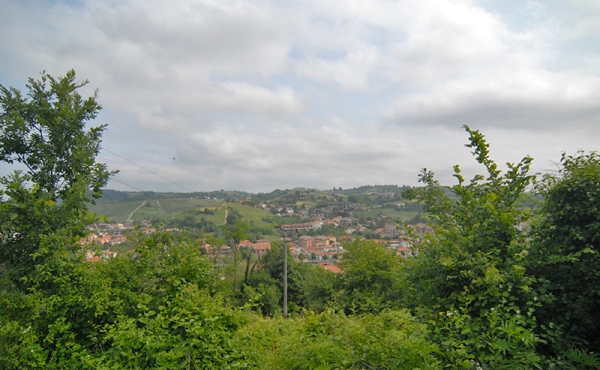 cascina-vendita-dogliani (24)