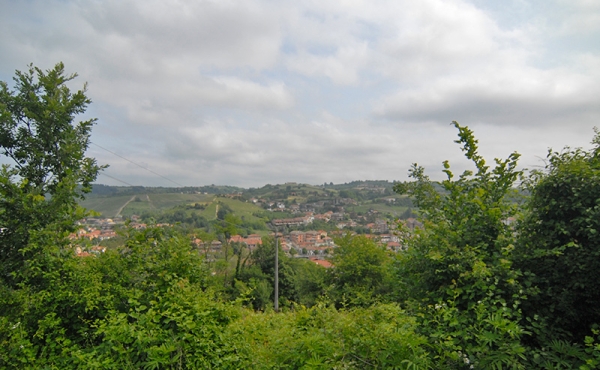 cascina-vendita-dogliani (25)