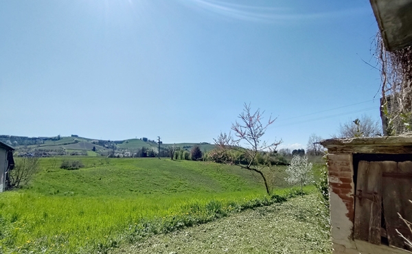 rustico_vendita_dogliani14