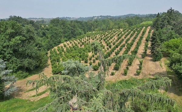villa-vendita-monferrato (167)