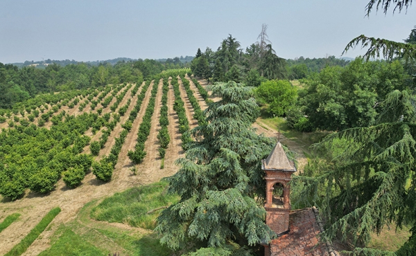 villa-vendita-monferrato (169)